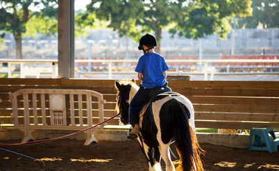 אילוסטרציה
