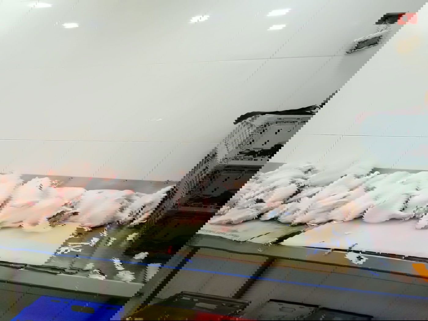 המשטרה תפסה כ-4 טונות של בשר שלא ראוי למאכל