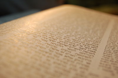 סוד יתרון השכחה של הדף היומי / טור דעה