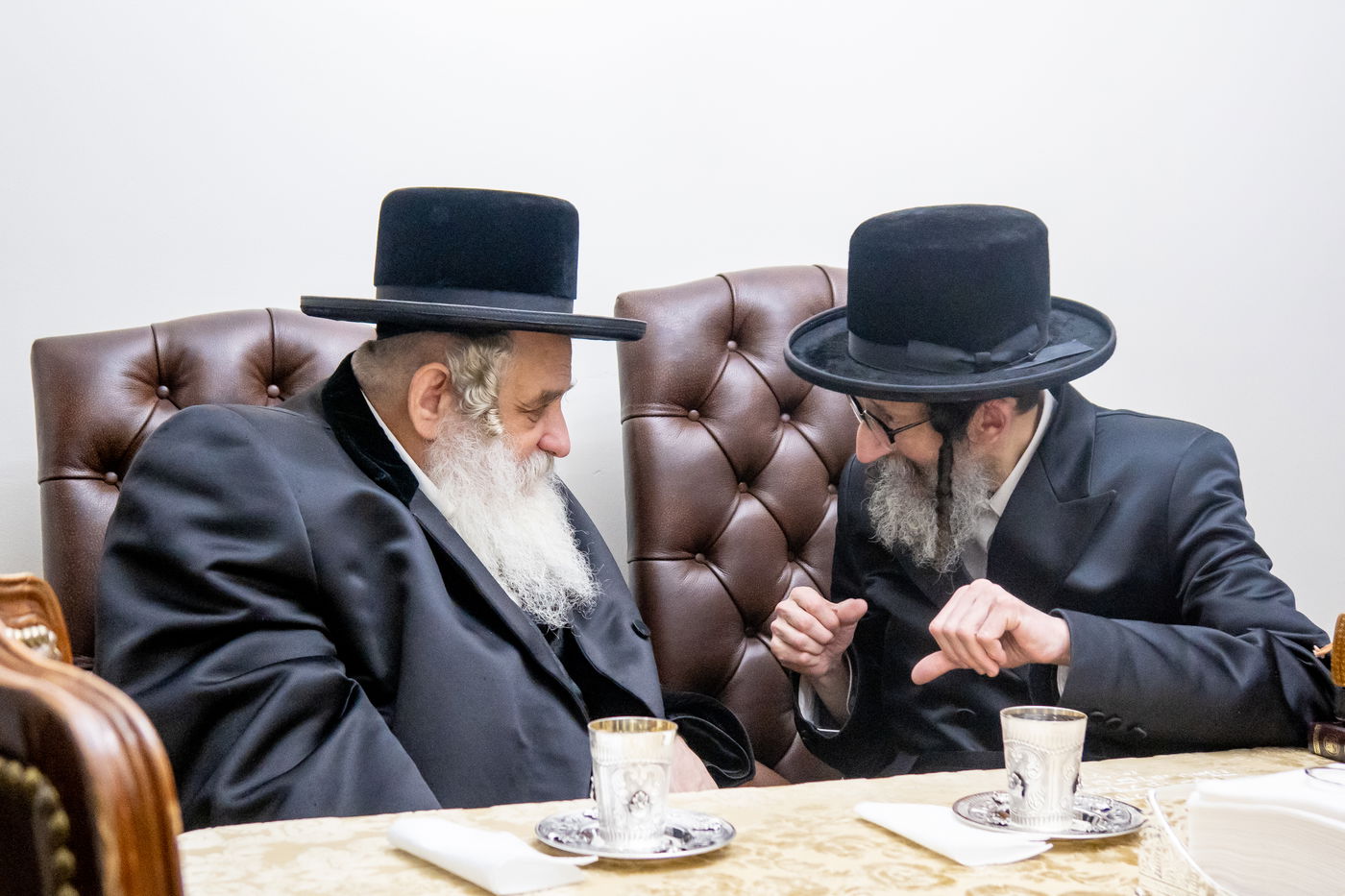 האדמו"ר מקוסוב ויז'ניץ ביקר את הרבי מסקולען