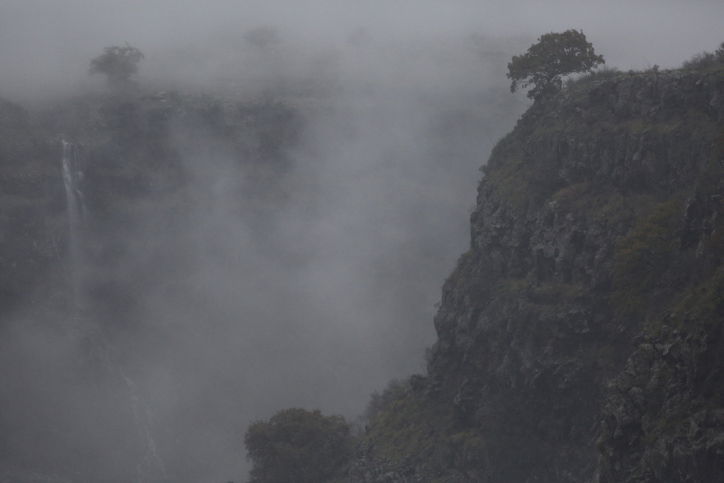 גלריה רטובה: כך נראים נחלי הגולן אחרי הגשם