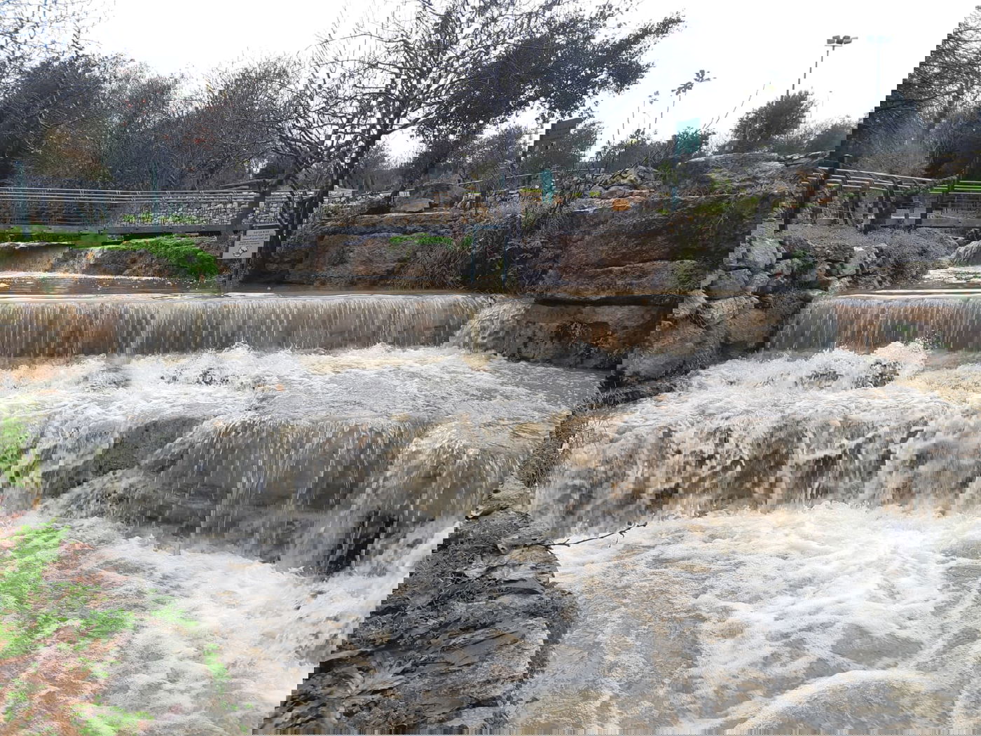 גשמי ברכה • צפו בזרימה החזקה בנחלים