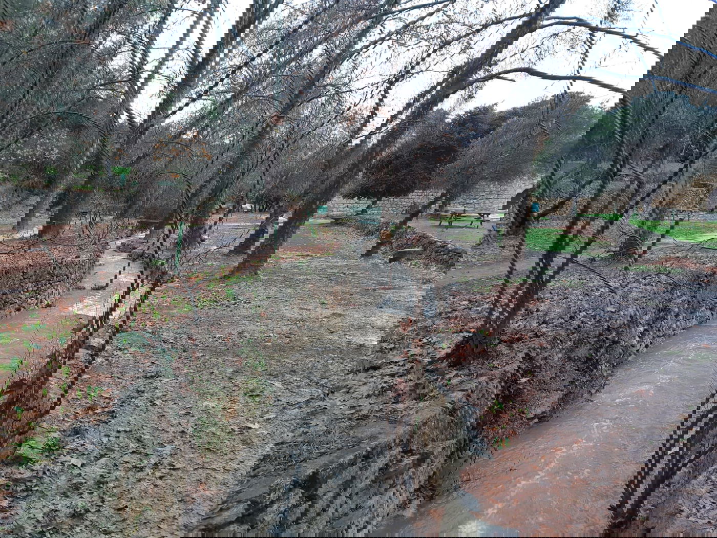 זרימת הכיסלון בעין חמד