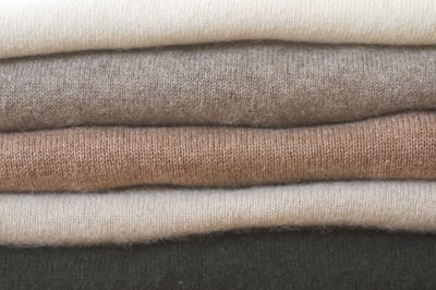 למבינים בלבד: איך לקנות ולטפל בסוודר מקשמיר