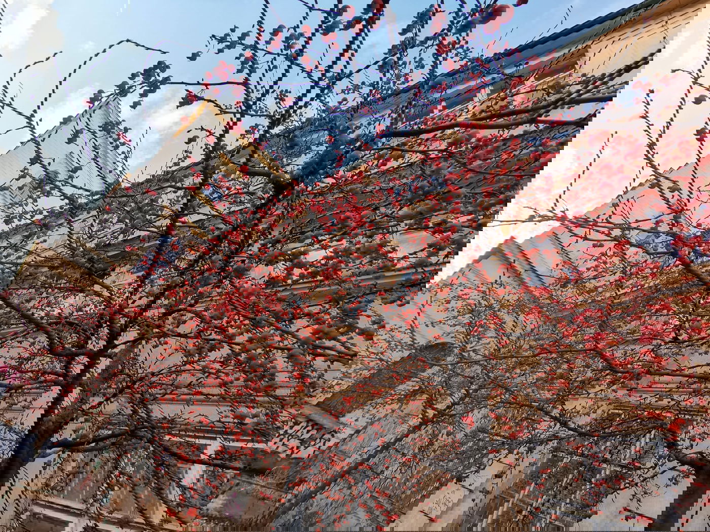 טיול דרך עדשת המצלמה לפראג הקסומה