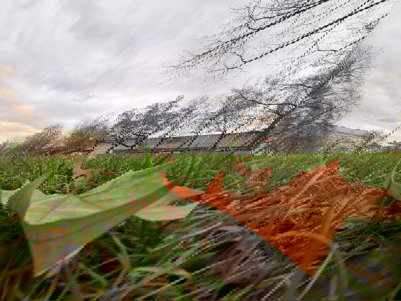 טיול דרך עדשת המצלמה לפראג הקסומה