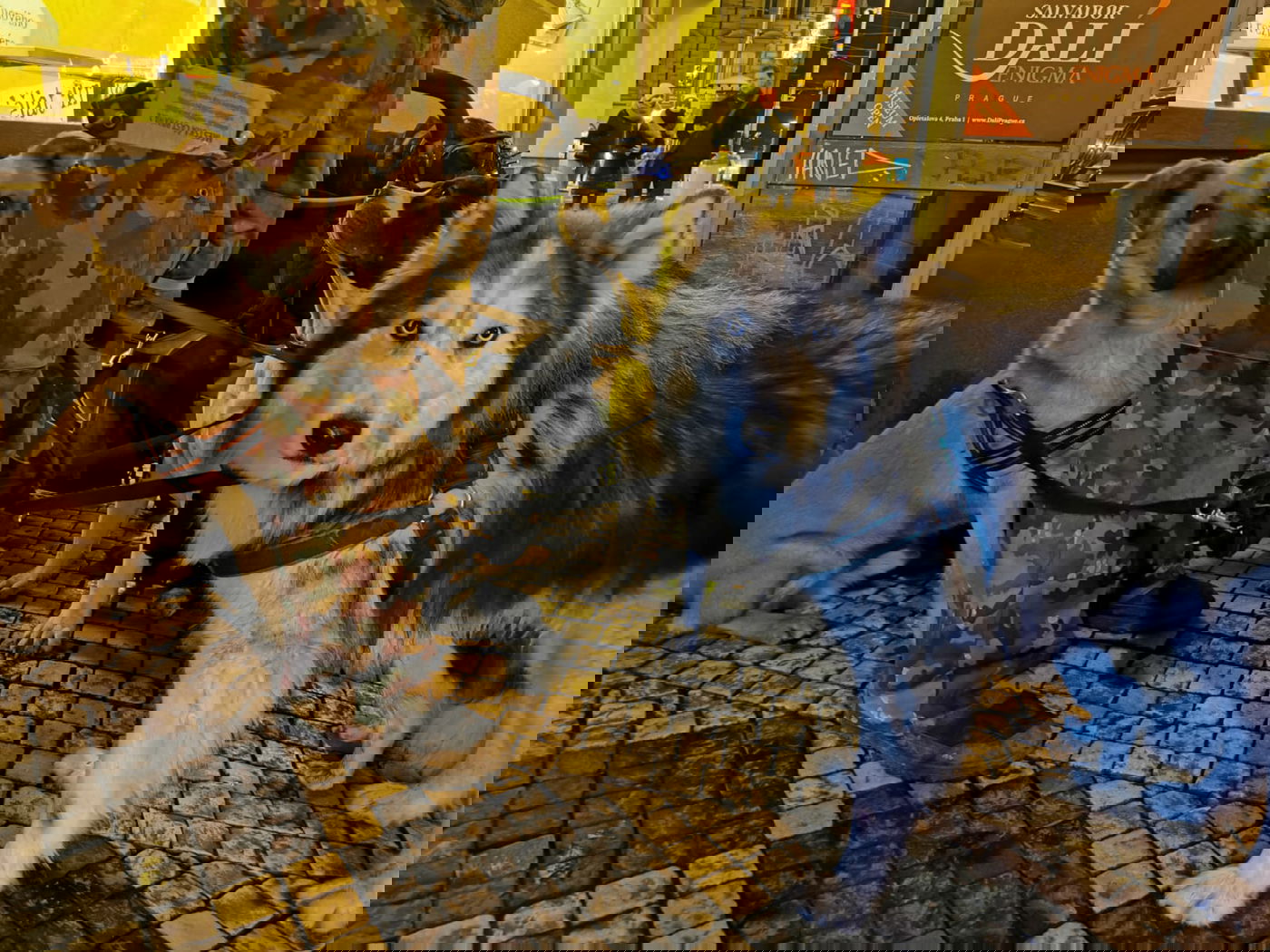 טיול דרך עדשת המצלמה לפראג הקסומה