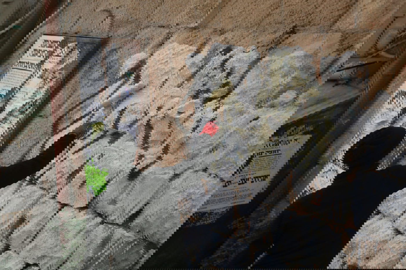 המאבק על ריסוס דגלי פלסטין במאה שערים