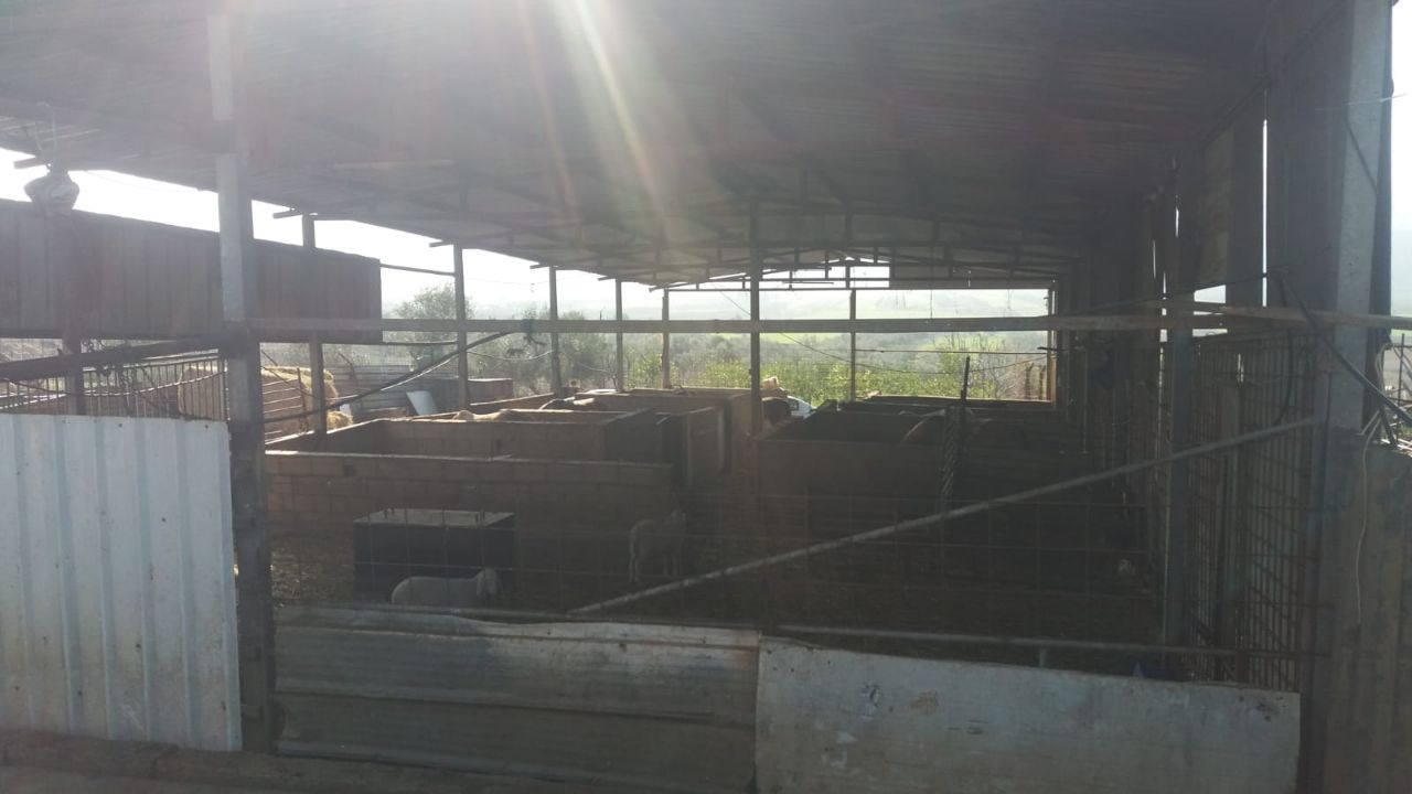 בכפר הערבי: נחשפה משחטת בשר פיראטית