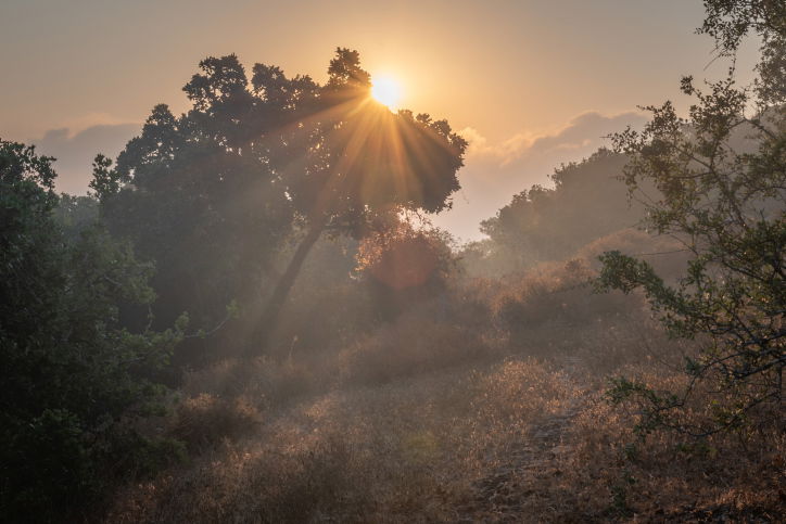 התחזית: הטמפרטורות היום - גבוהות מהרגיל לעונה