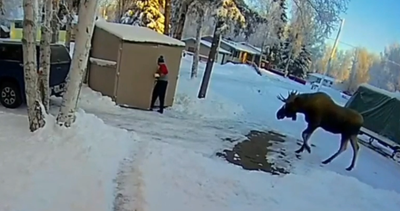 יצא לזרוק את הזבל, ולא תאמינו את מי הוא פגש