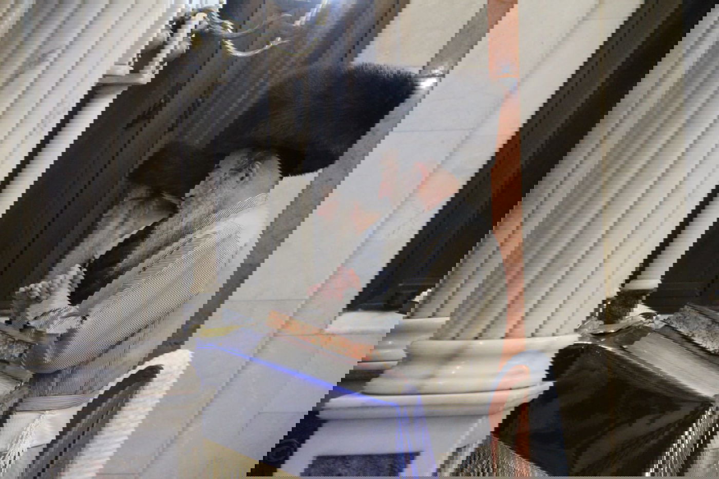 האדמו"רים מנדבורנה-צפת ולעלוב בצוותא בבני ברק