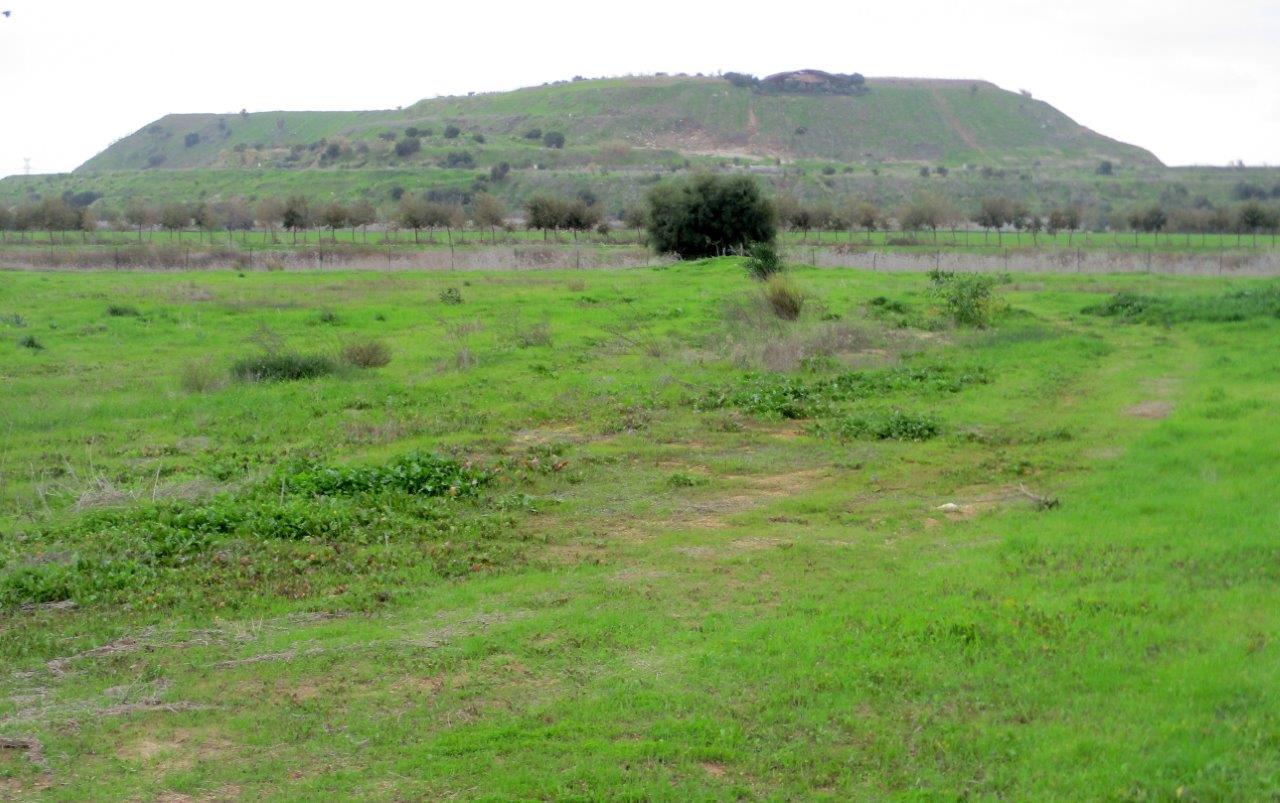 פארק אריאל שרון דרך עדשת המצלמה