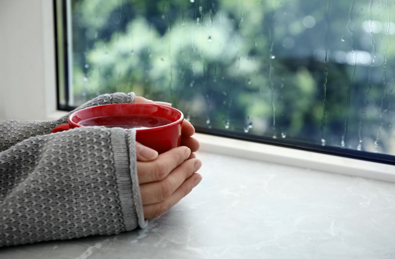 כך תשמרו על ביתכם נקי מלחות ועובש