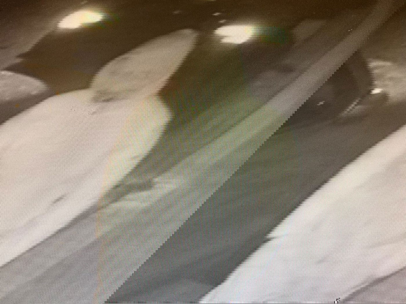 הגנב, כפי שתועד במצלמת האבטחה