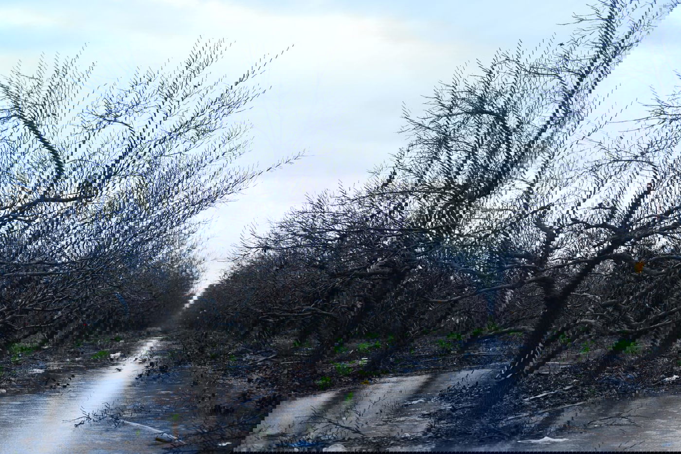 "זה אצלנו" • גלריה מרהיבה מפארק במרכז הארץ