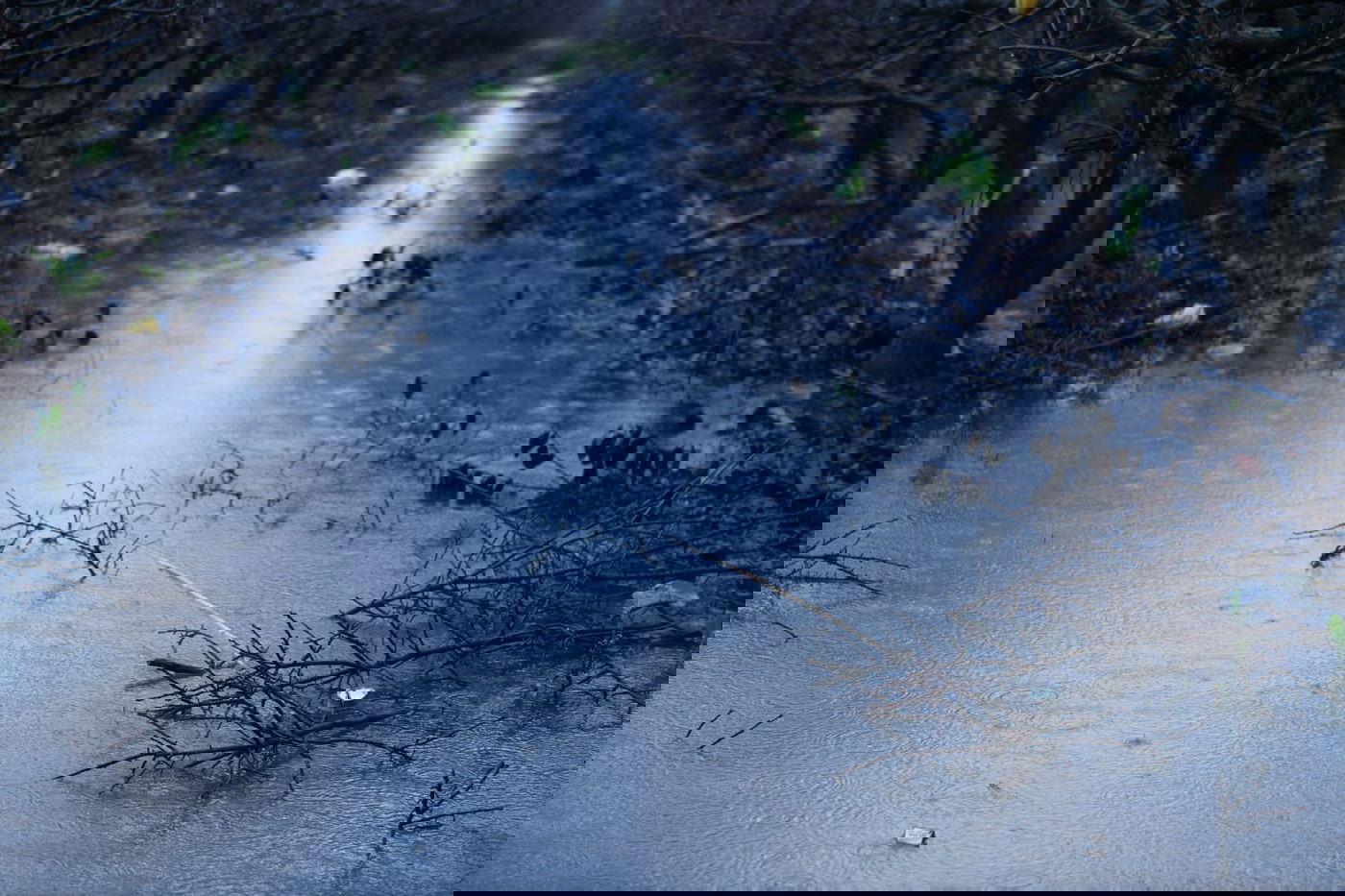 "זה אצלנו" • גלריה מרהיבה מפארק במרכז הארץ