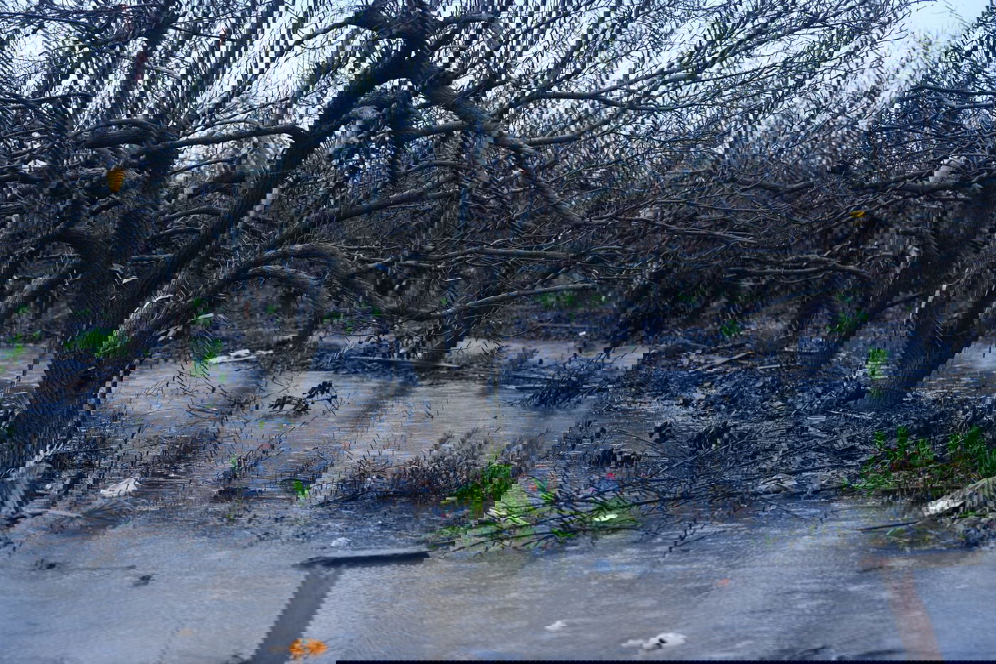 "זה אצלנו" • גלריה מרהיבה מפארק במרכז הארץ