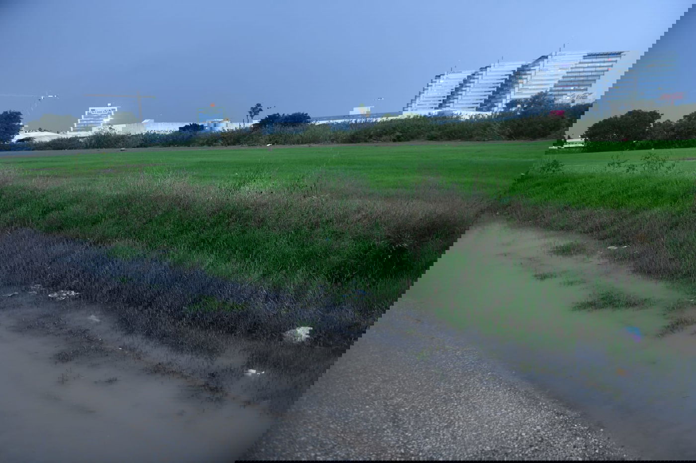 "זה אצלנו" • גלריה מרהיבה מפארק במרכז הארץ