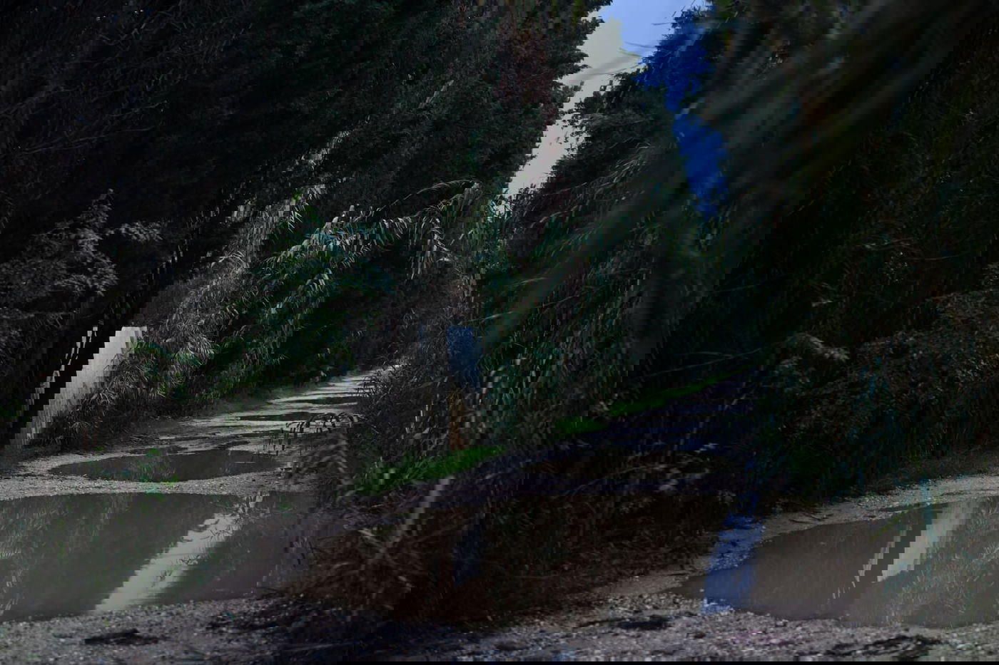 "זה אצלנו" • גלריה מרהיבה מפארק במרכז הארץ