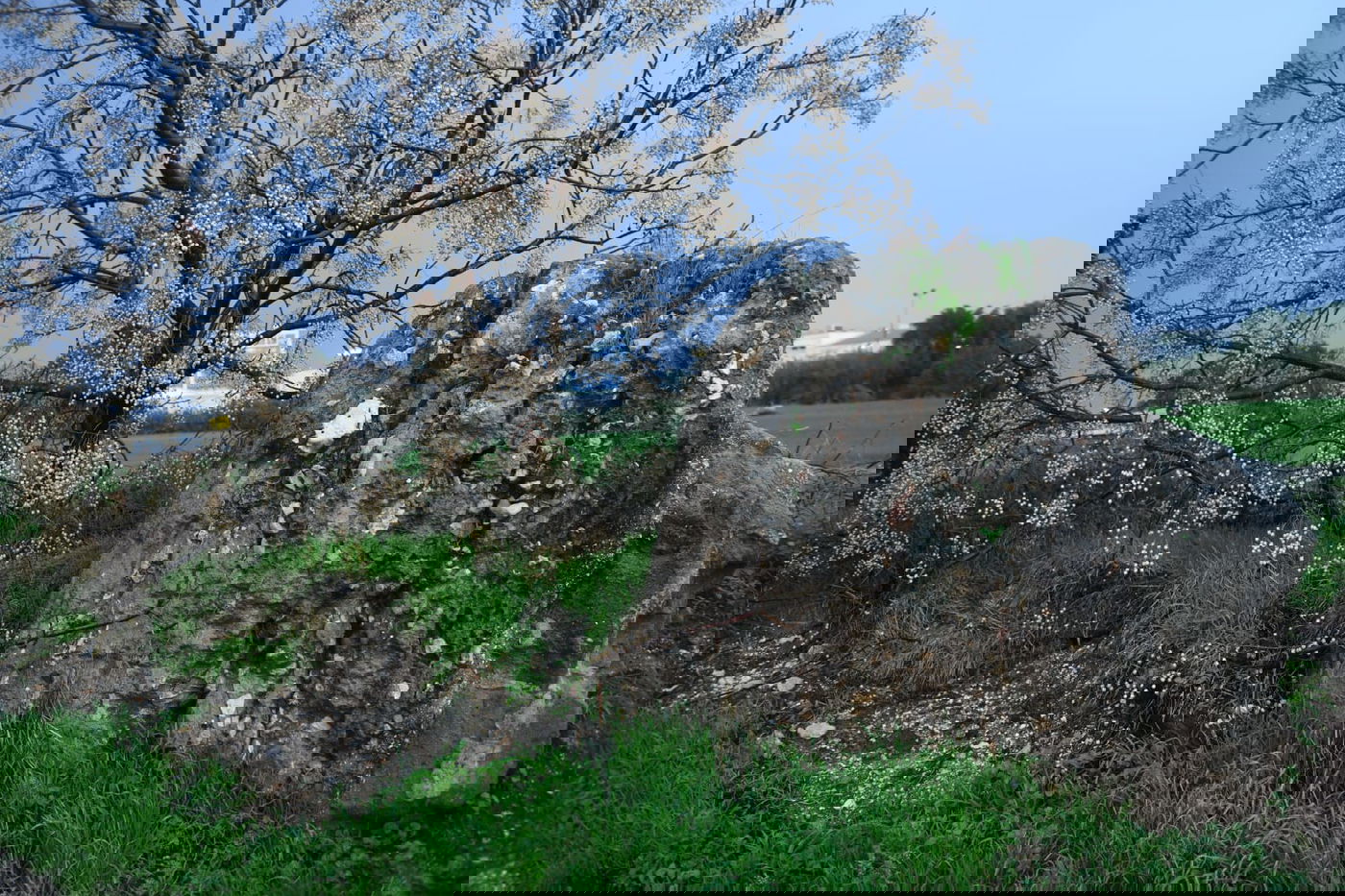 "זה אצלנו" • גלריה מרהיבה מפארק במרכז הארץ