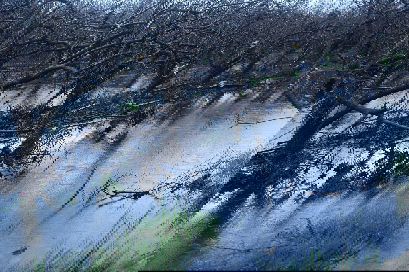 "זה אצלנו" • גלריה מרהיבה מפארק במרכז הארץ