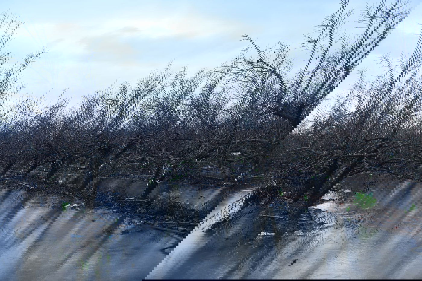 "זה אצלנו" • גלריה מרהיבה מפארק במרכז הארץ