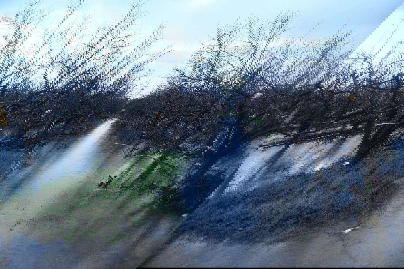 "זה אצלנו" • גלריה מרהיבה מפארק במרכז הארץ