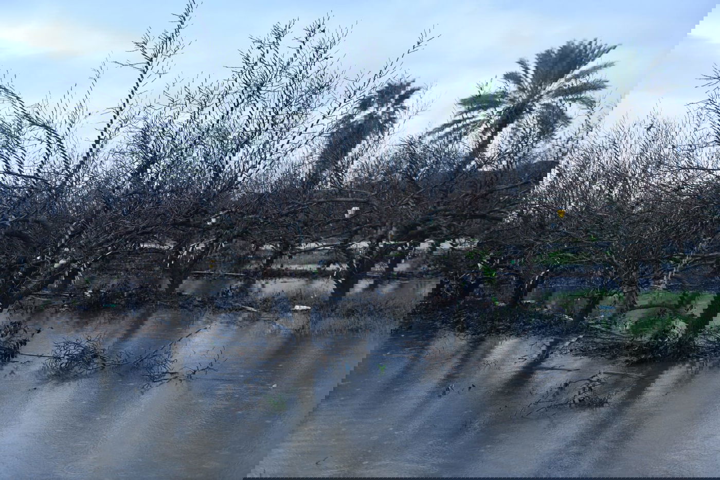 "זה אצלנו" • גלריה מרהיבה מפארק במרכז הארץ