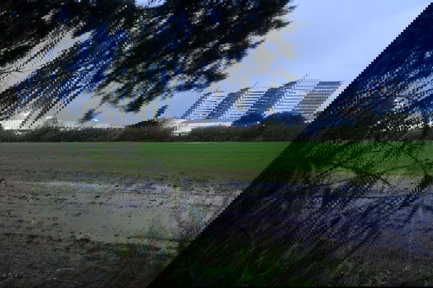 "זה אצלנו" • גלריה מרהיבה מפארק במרכז הארץ