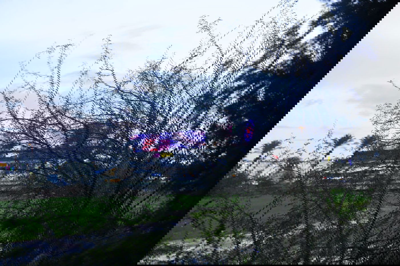 "זה אצלנו" • גלריה מרהיבה מפארק במרכז הארץ