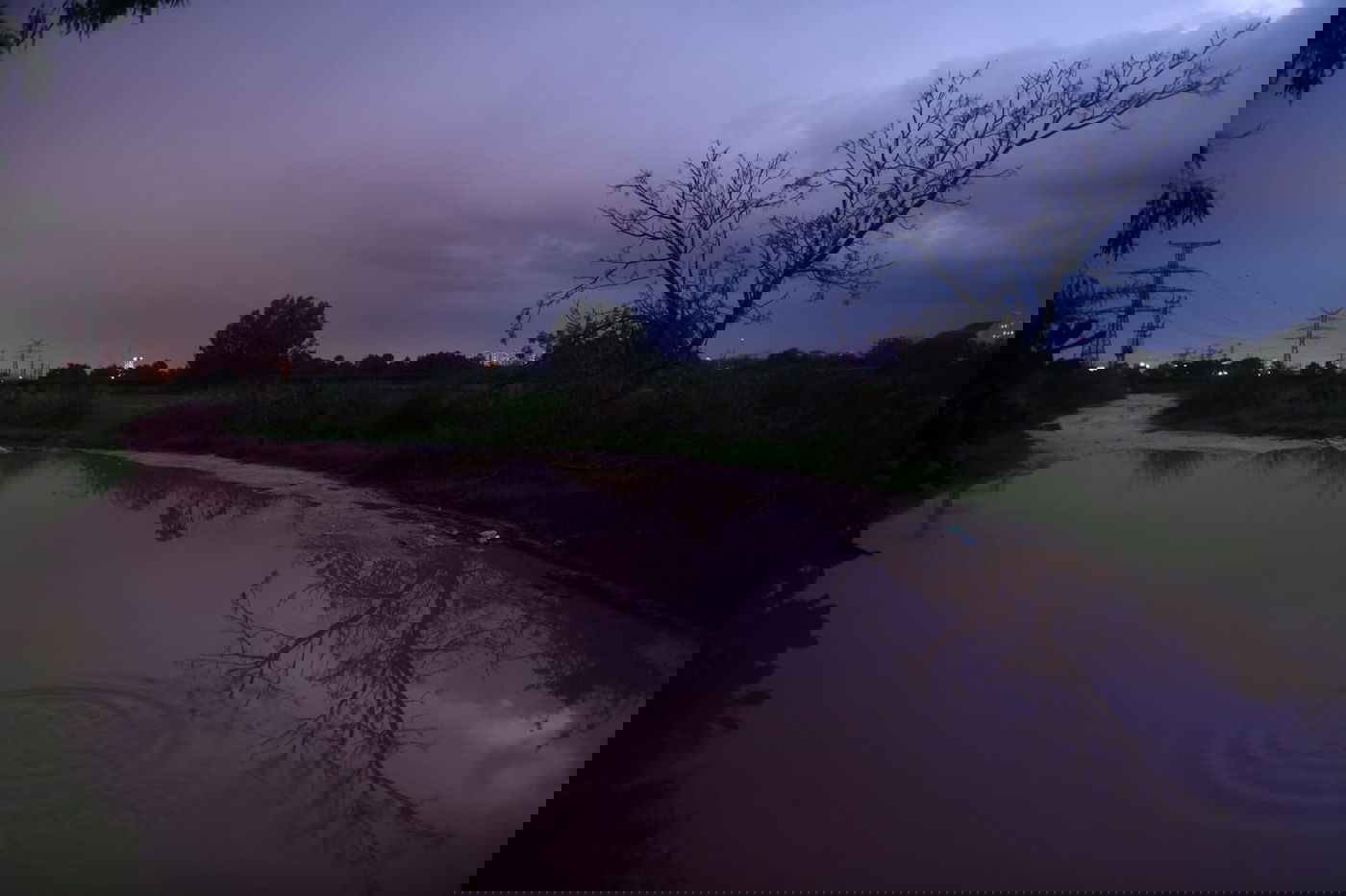 "זה אצלנו" • גלריה מרהיבה מפארק במרכז הארץ