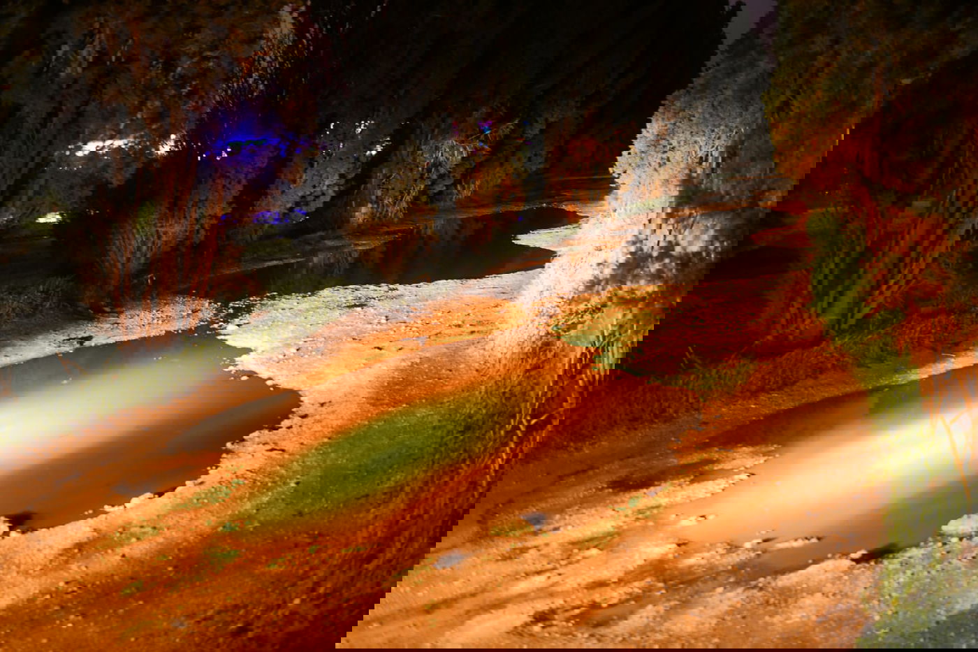 "זה אצלנו" • גלריה מרהיבה מפארק במרכז הארץ