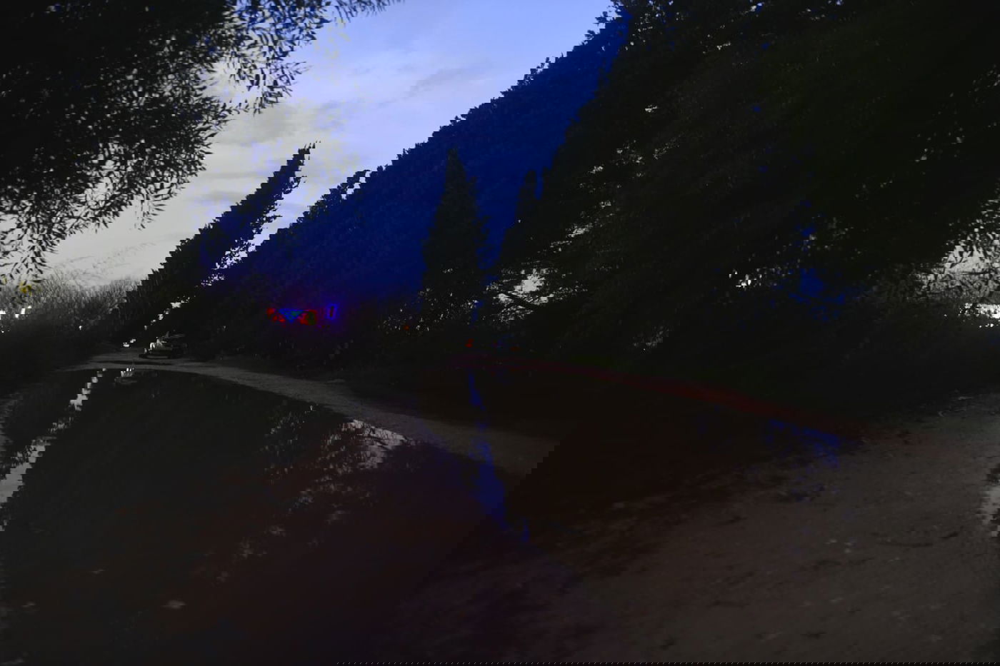 "זה אצלנו" • גלריה מרהיבה מפארק במרכז הארץ