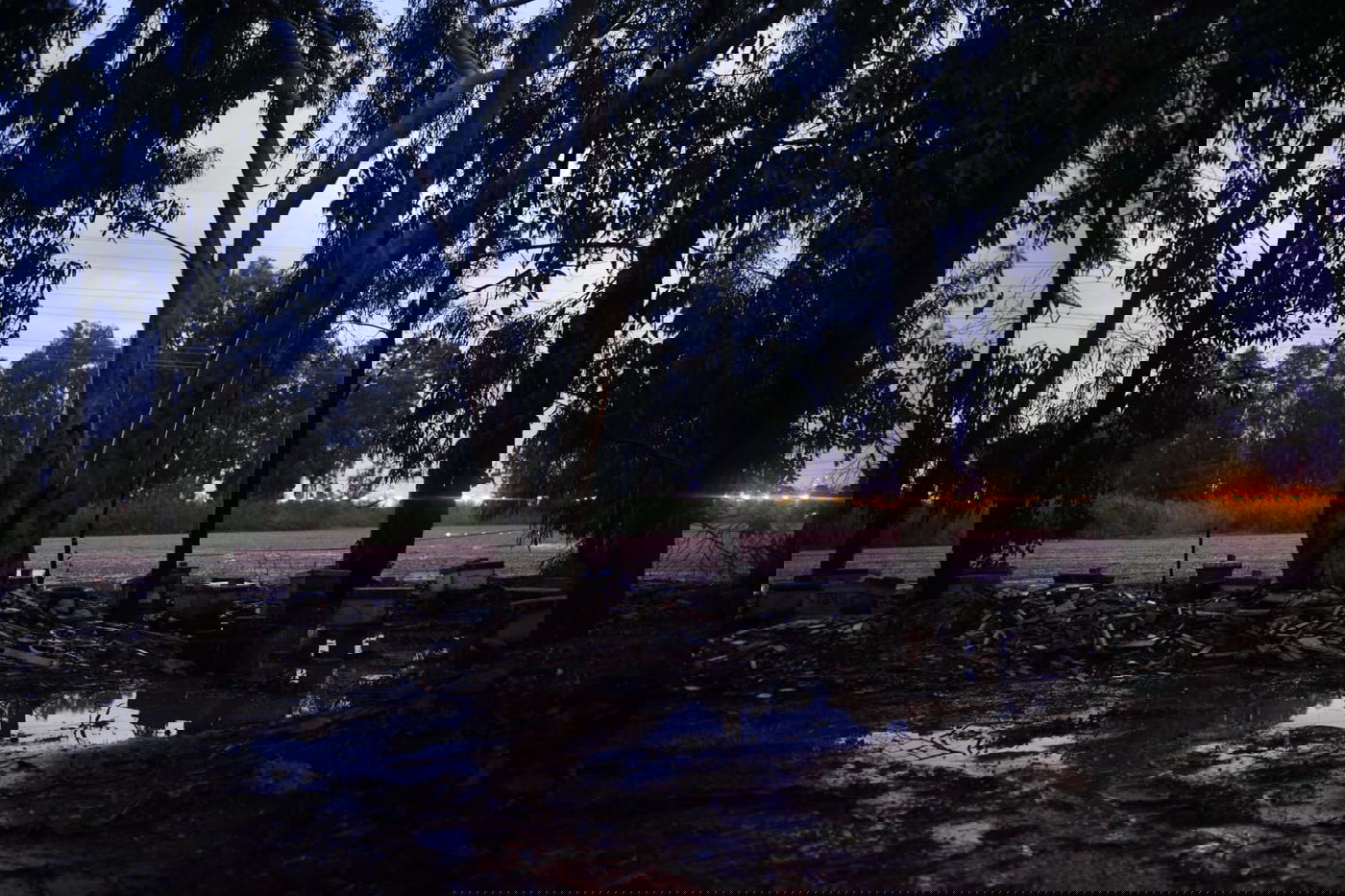 "זה אצלנו" • גלריה מרהיבה מפארק במרכז הארץ