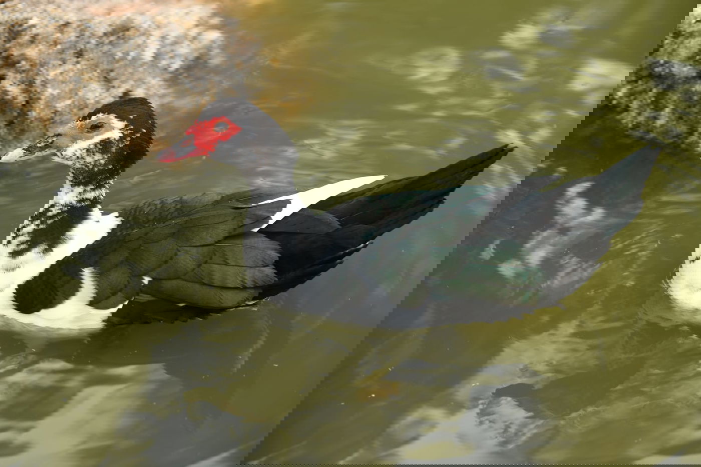 טיול חורפי ומצולם לפארק הלאומי ברמת גן