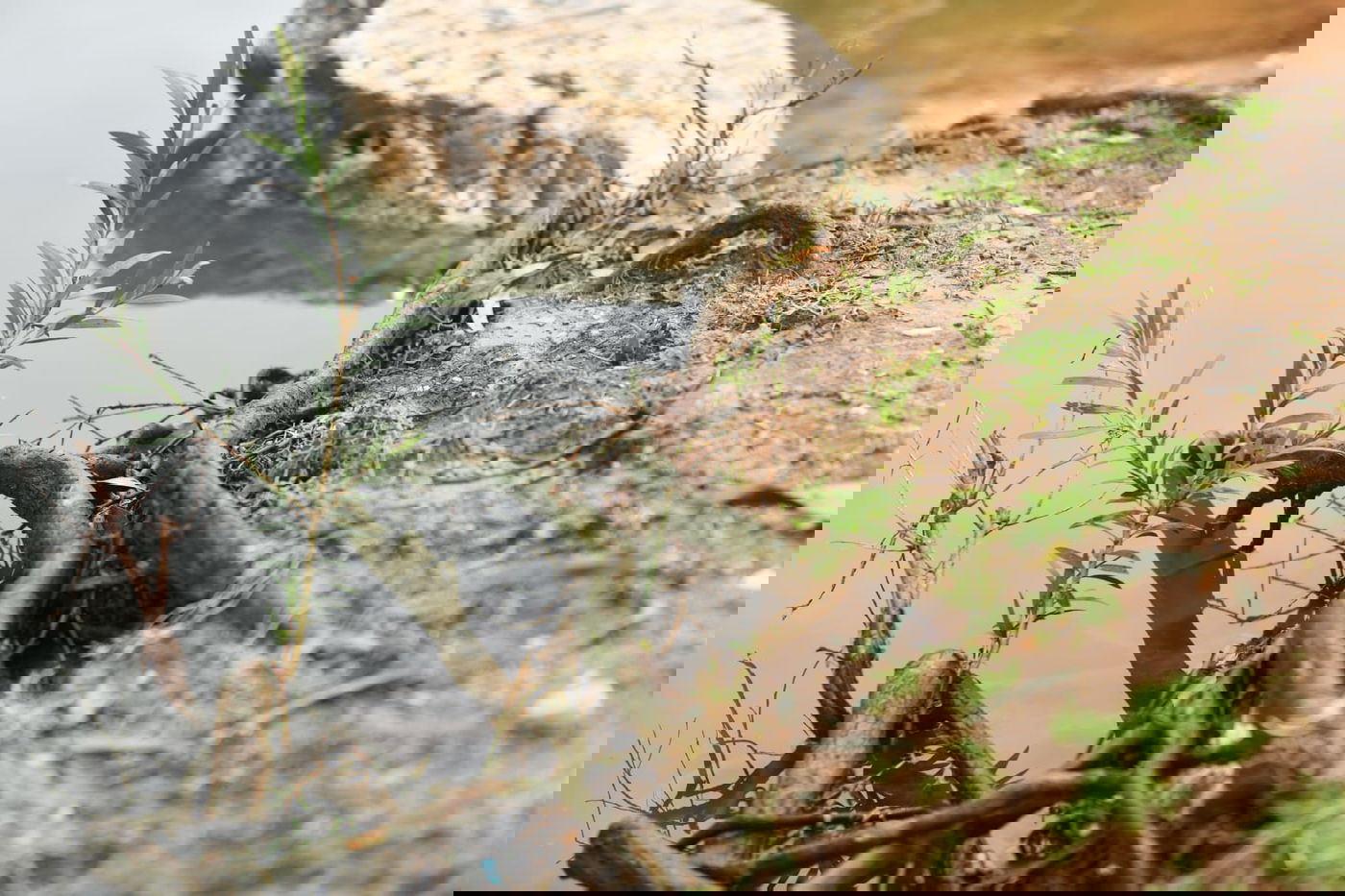 טיול חורפי ומצולם לפארק הלאומי ברמת גן