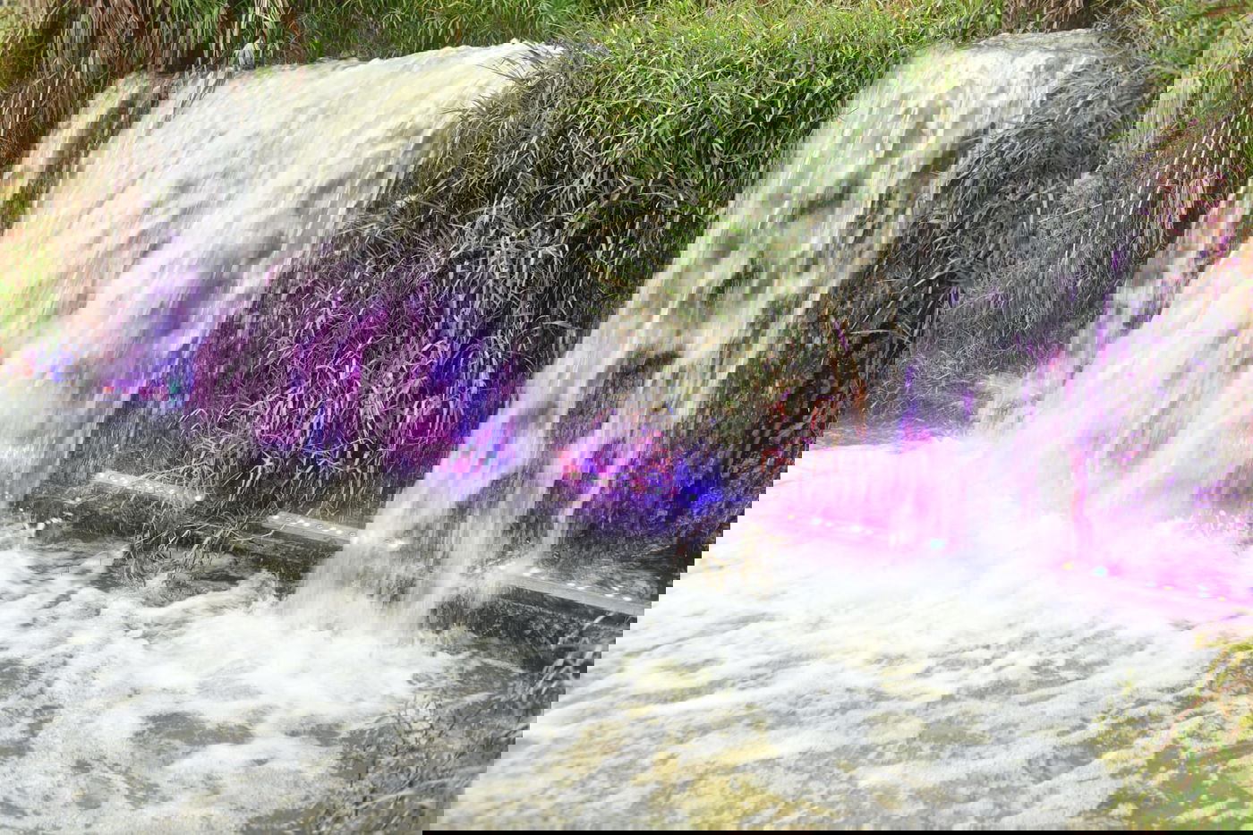 טיול חורפי ומצולם לפארק הלאומי ברמת גן