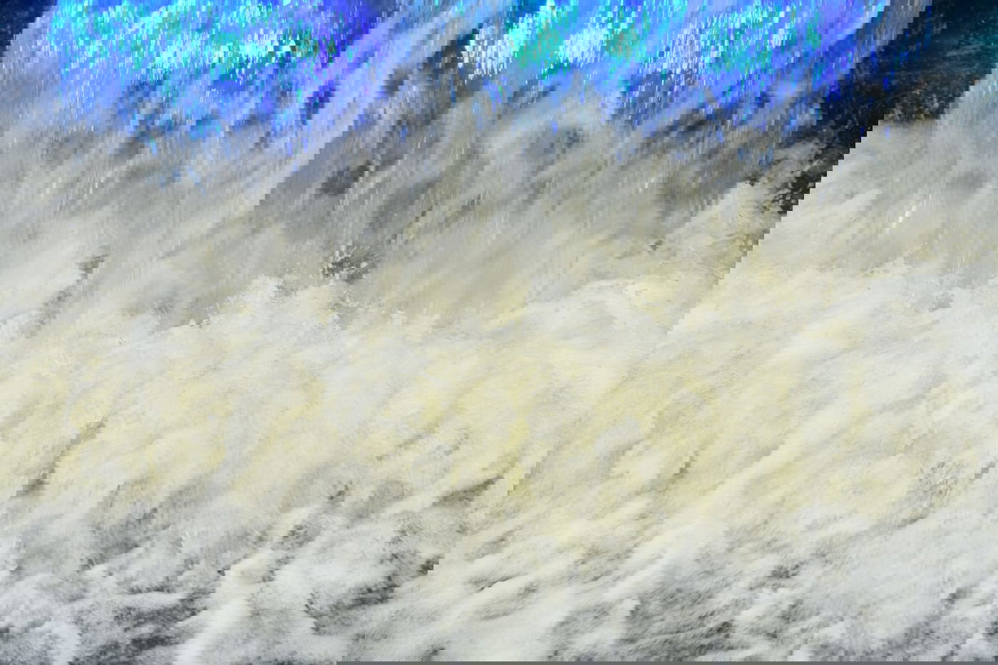 טיול חורפי ומצולם לפארק הלאומי ברמת גן