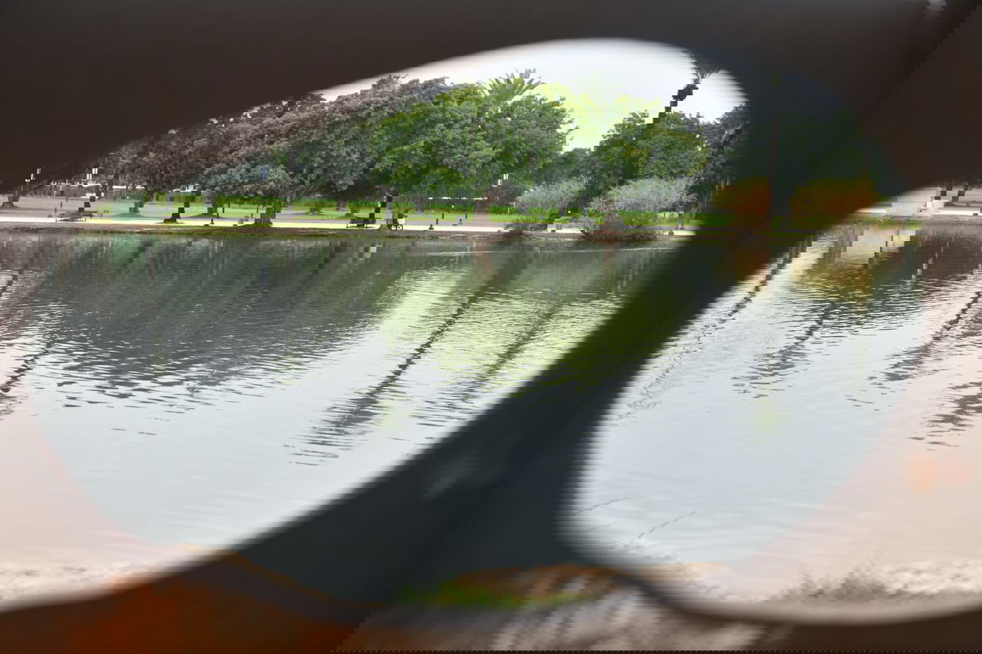 טיול חורפי ומצולם לפארק הלאומי ברמת גן