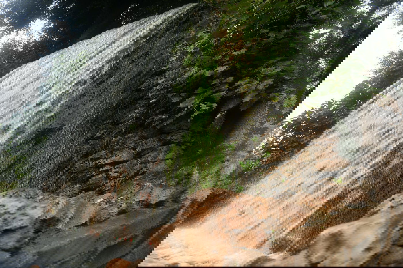 טיול חורפי ומצולם לפארק הלאומי ברמת גן