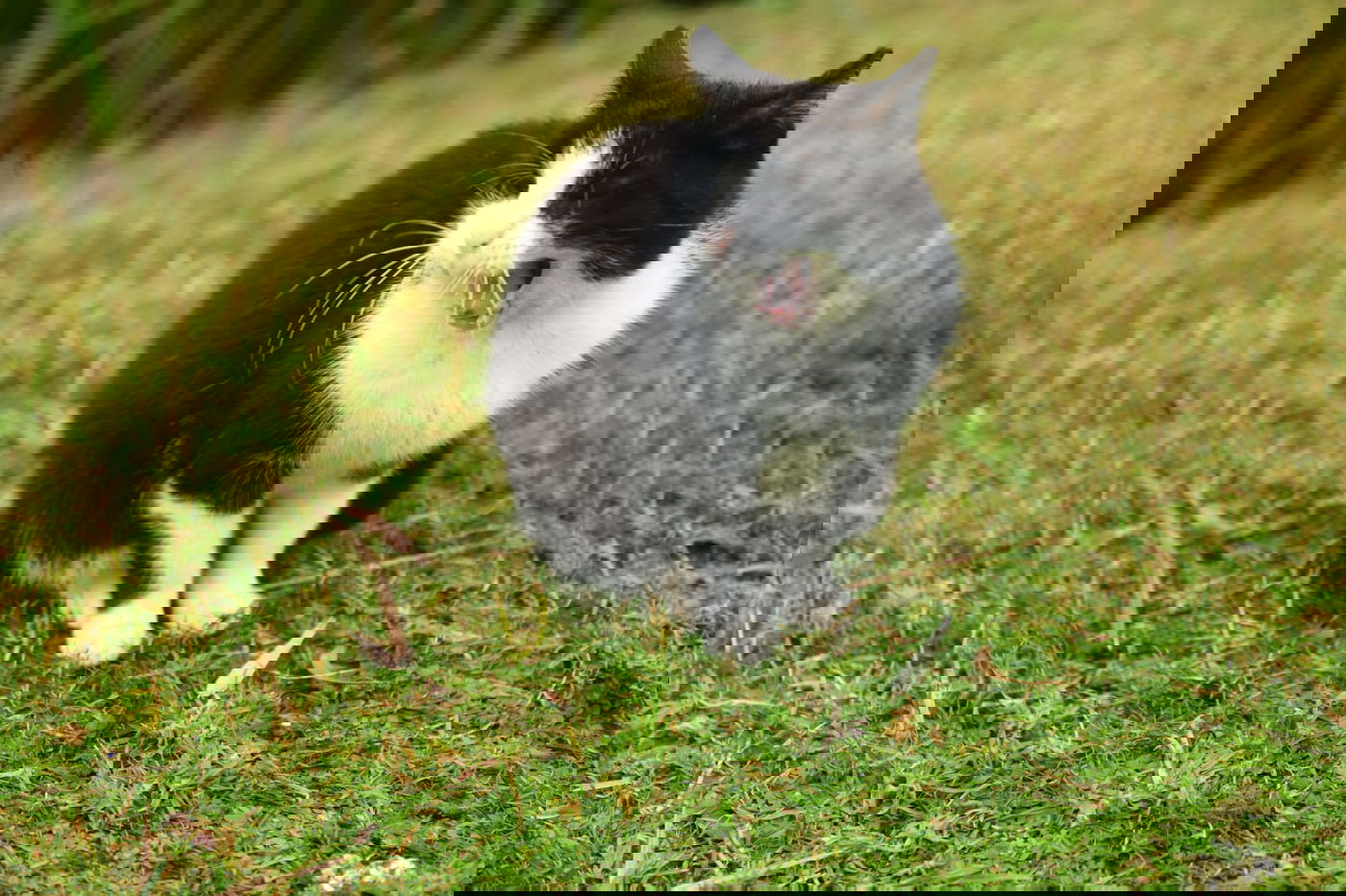 טיול חורפי ומצולם לפארק הלאומי ברמת גן