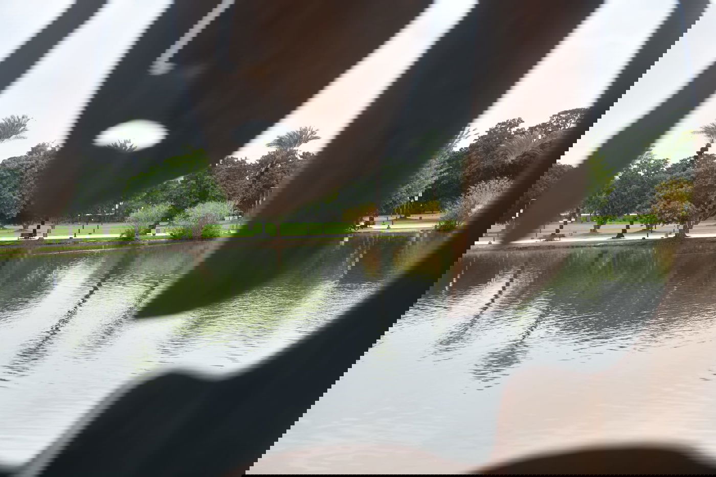 טיול חורפי ומצולם לפארק הלאומי ברמת גן