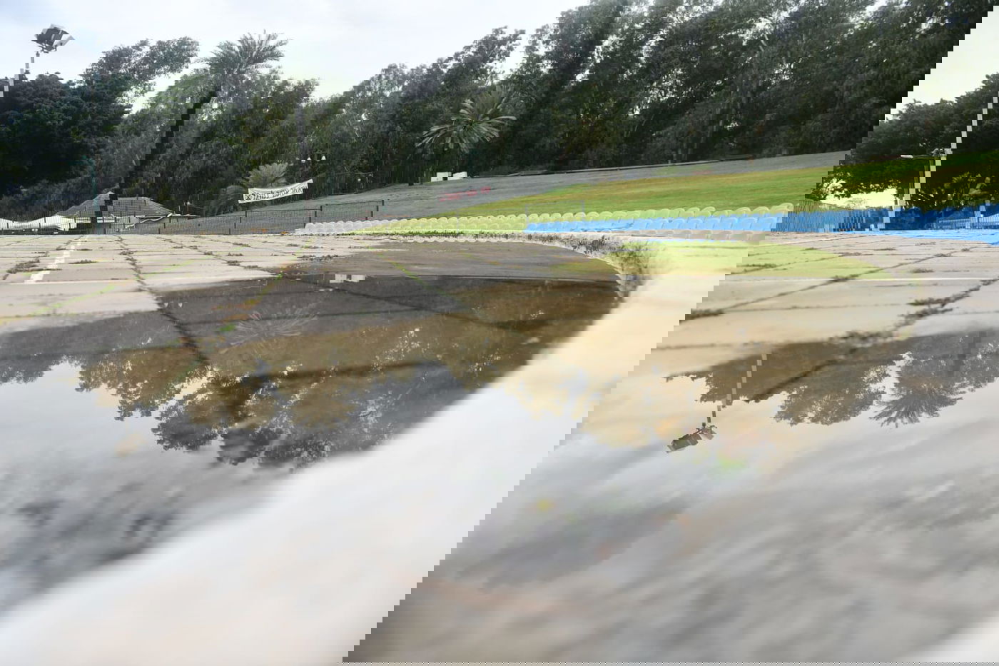 טיול חורפי ומצולם לפארק הלאומי ברמת גן