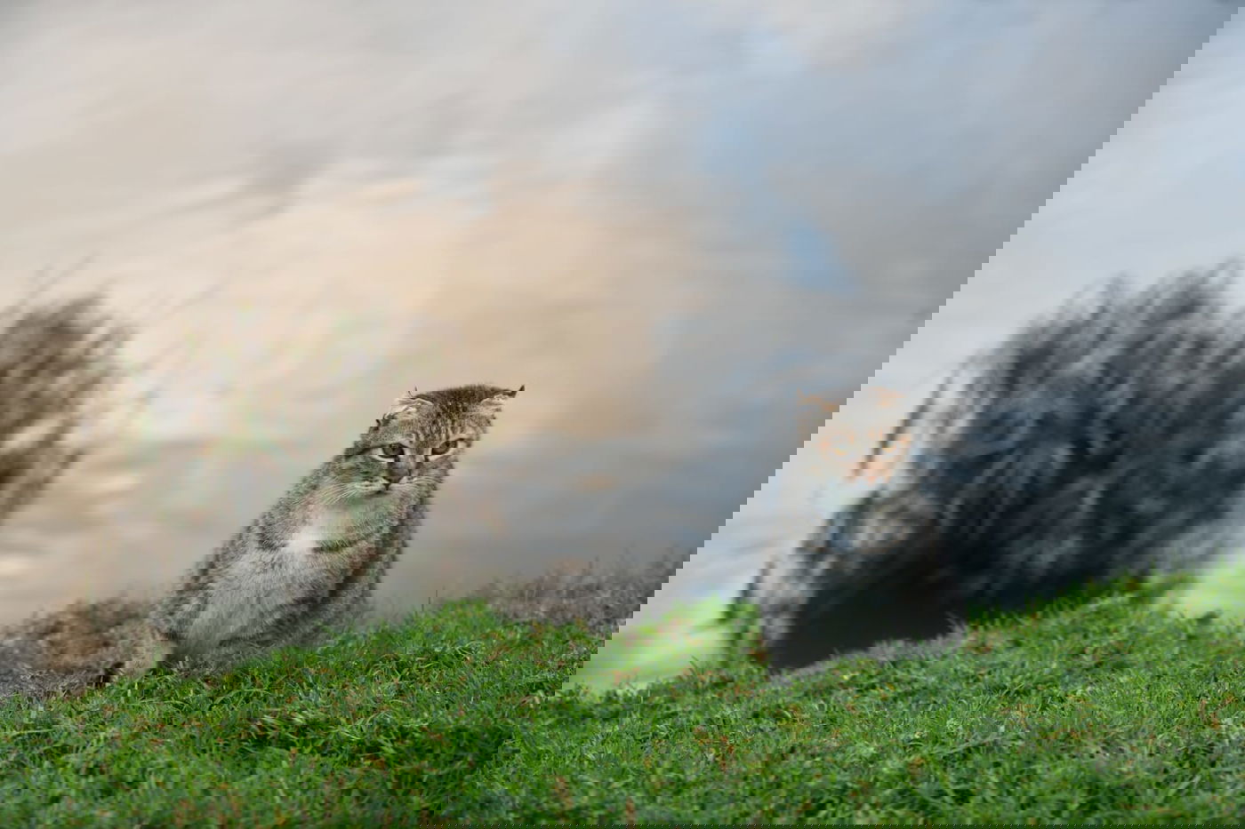 טיול חורפי ומצולם לפארק הלאומי ברמת גן