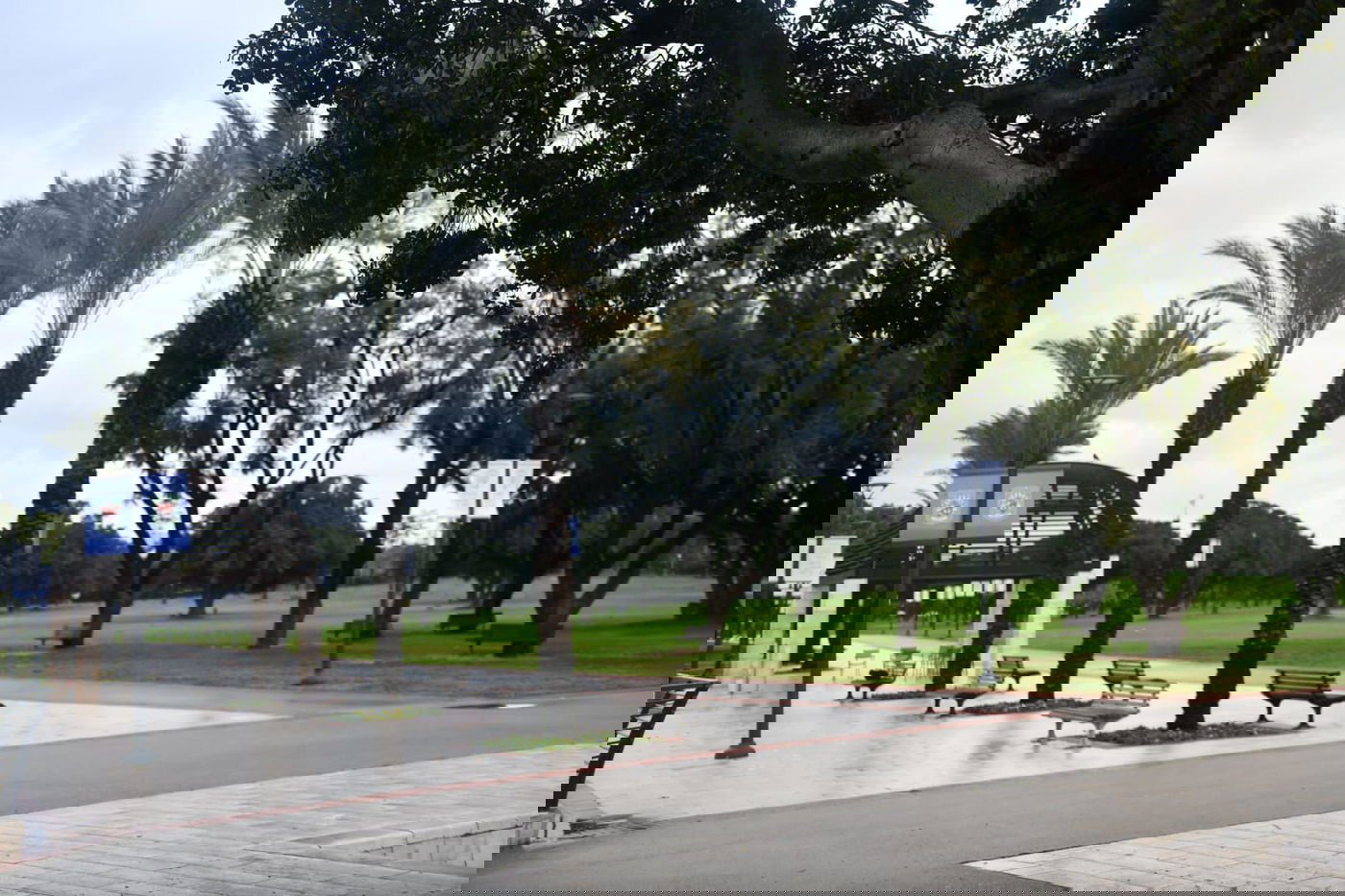 טיול חורפי ומצולם לפארק הלאומי ברמת גן