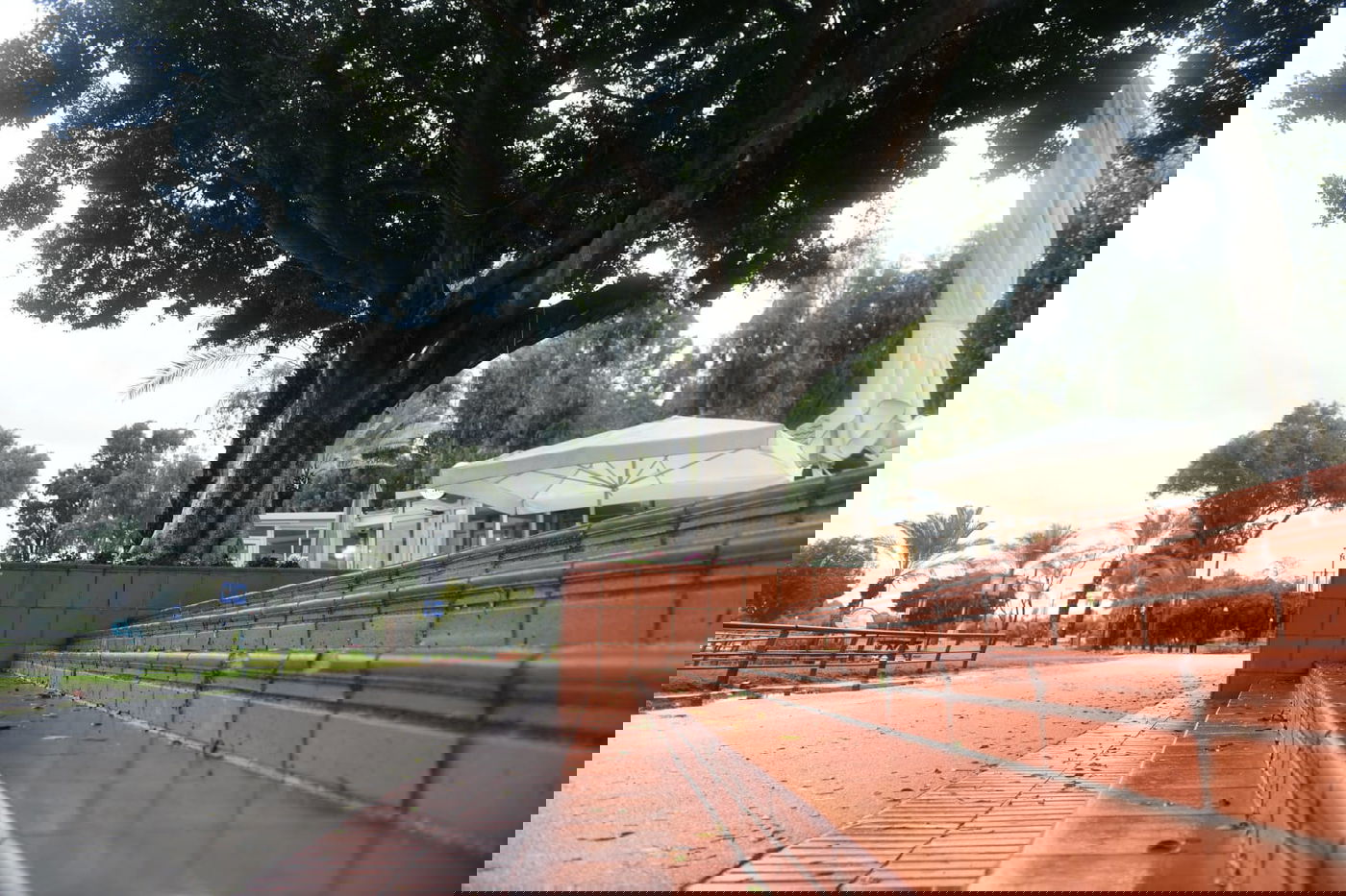 טיול חורפי ומצולם לפארק הלאומי ברמת גן