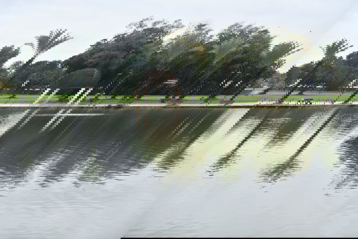 טיול חורפי ומצולם לפארק הלאומי ברמת גן