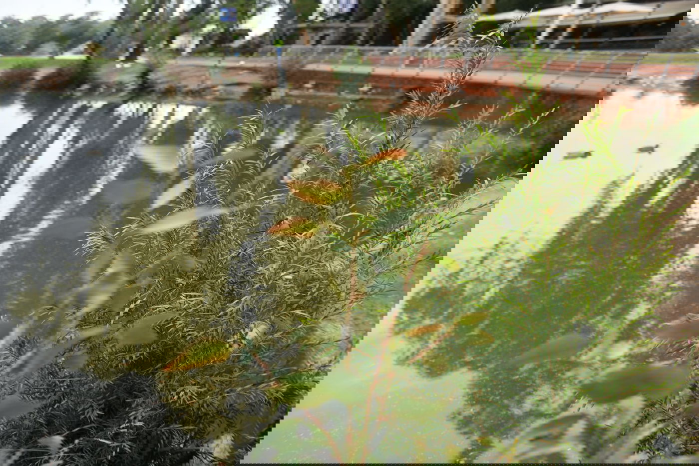 טיול חורפי ומצולם לפארק הלאומי ברמת גן