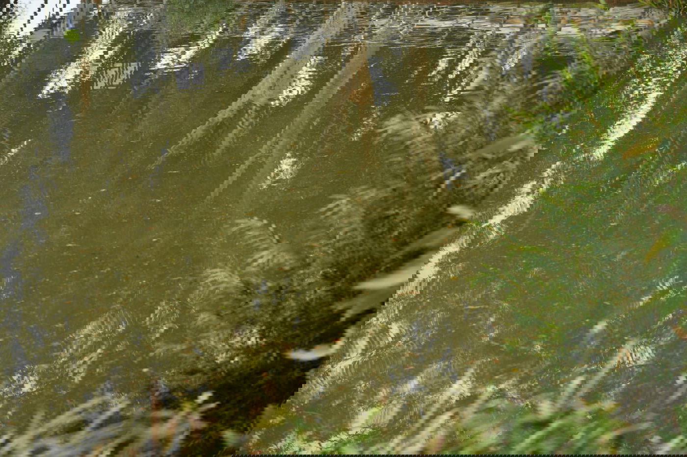 טיול חורפי ומצולם לפארק הלאומי ברמת גן